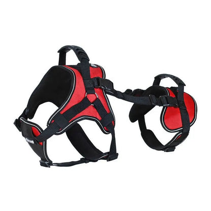 Guide des tailles du harnais de soutien pour chien (S, M, L, XL)
